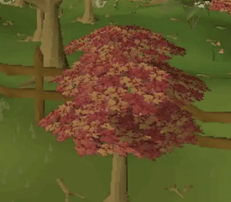 Maple Trees The Versatile And Profitable Resource In Old School   Maple1 768x672 